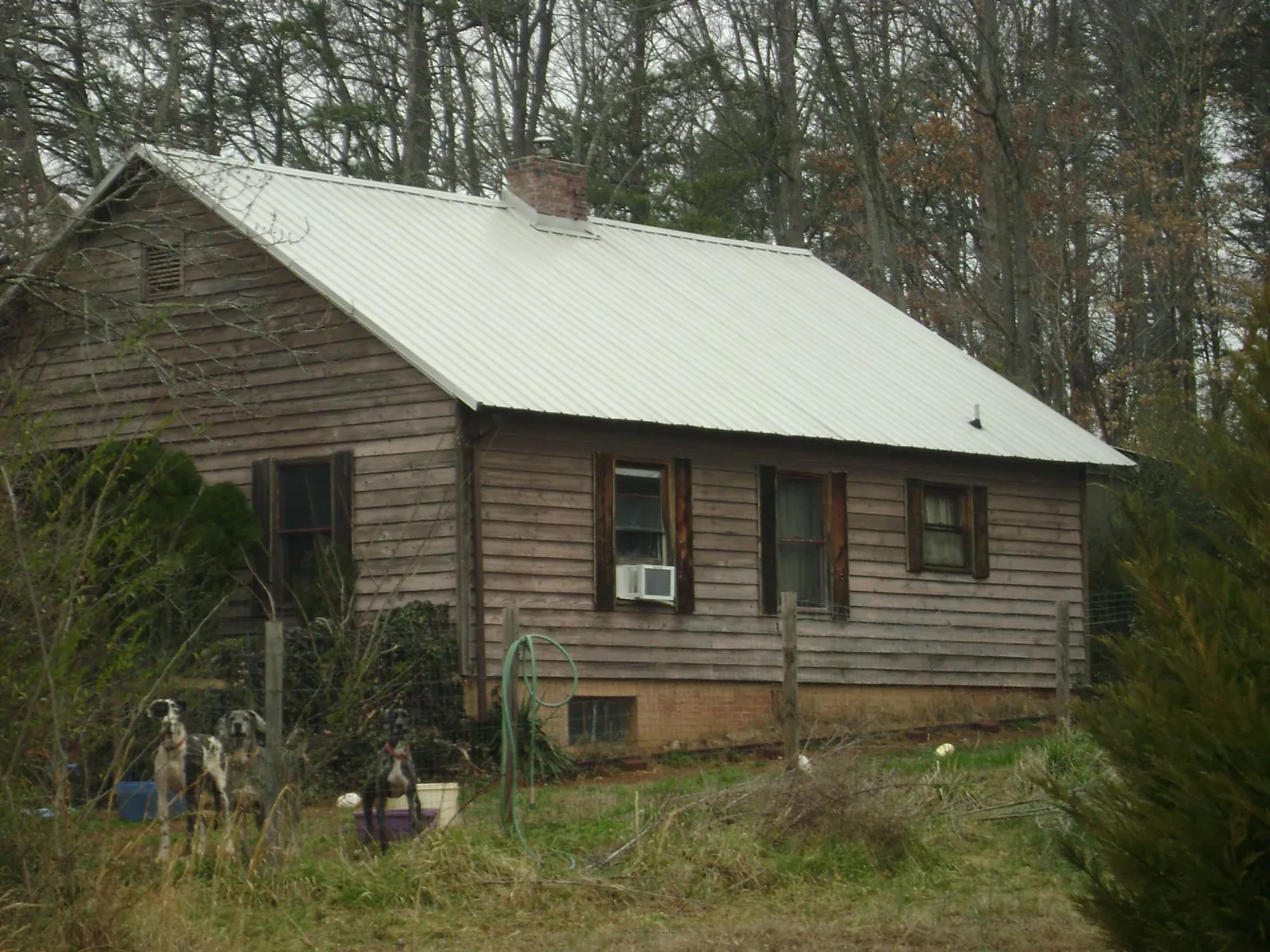 White metal roof on an old wood sided farmhouse, from a Asphalt Shingle Roof Repair job in Fernandina Beach